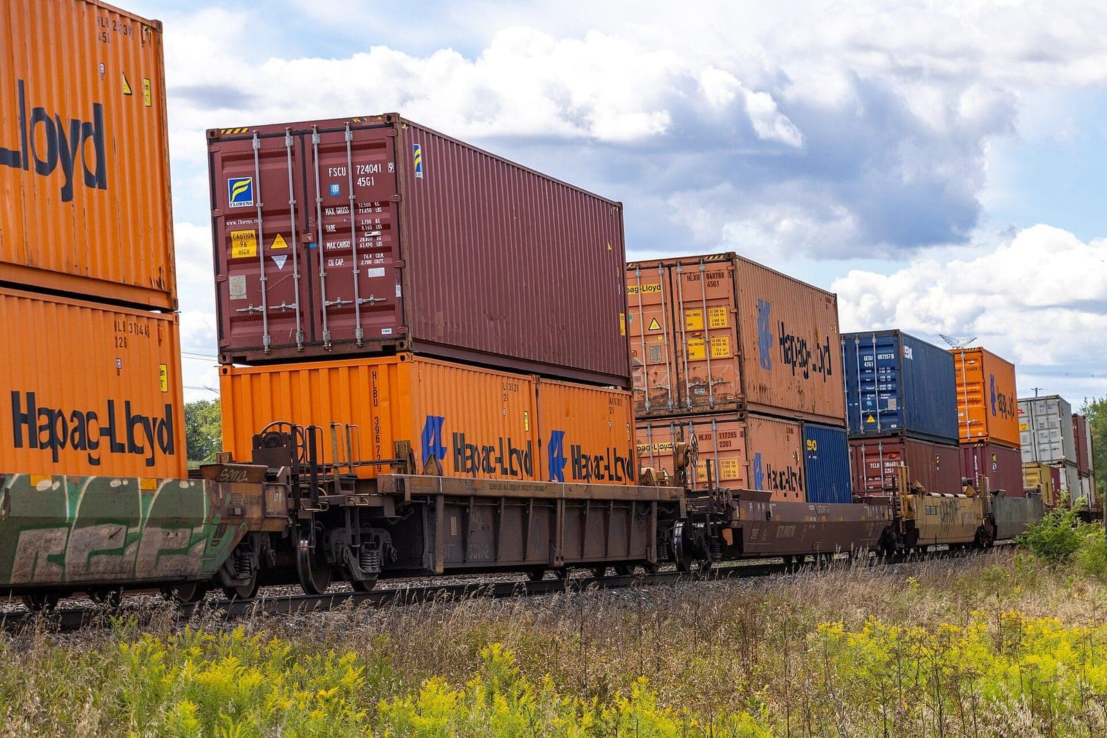 Mixed ocean containers double-stacked on intermodal well cars