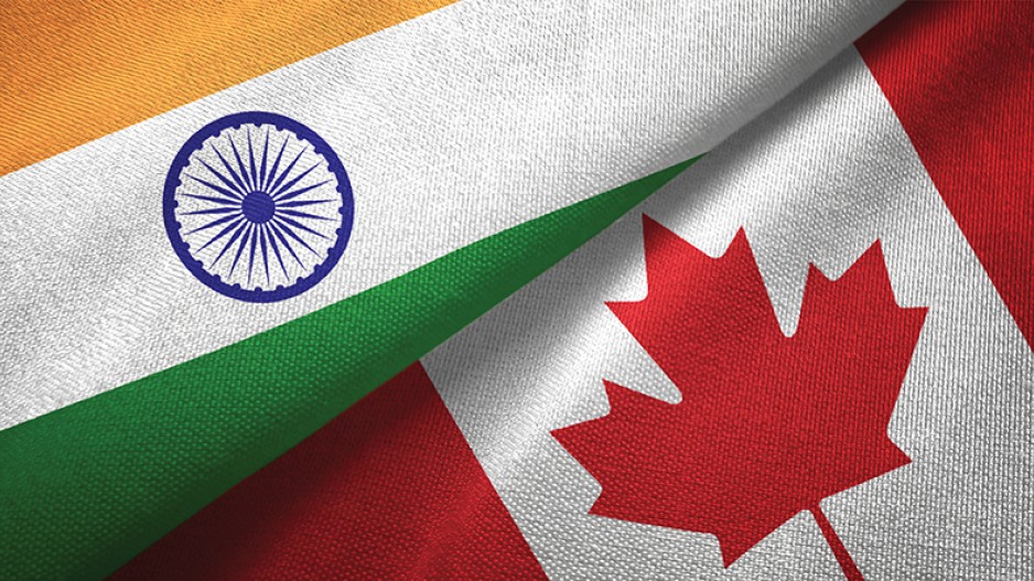 Container Shipping from Canada to India: Professional Services